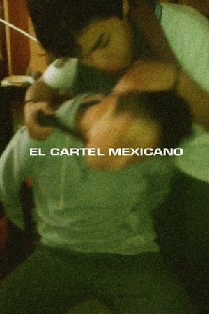The Mexican Cartel