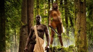 Images posters
