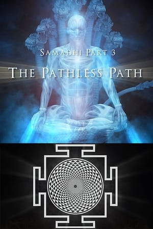 Image Samadhi Part 3: The Pathless Path