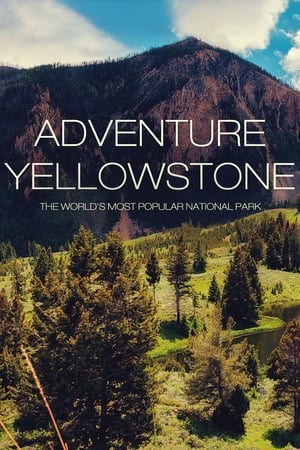 Poster Adventure Yellowstone (2013)