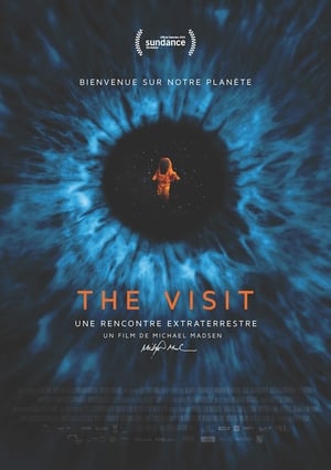 Image The Visit - une rencontre extraterrestre