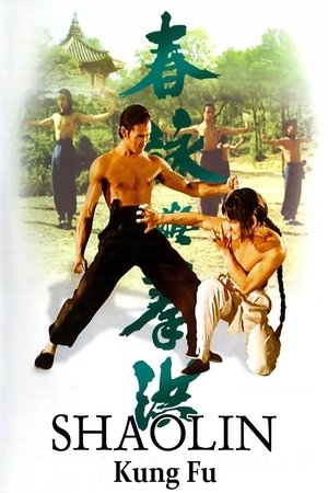 Shaolin Kung Fu