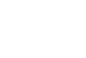 Self Incorporated