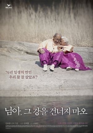Poster My Love, Don't Cross That River 2014