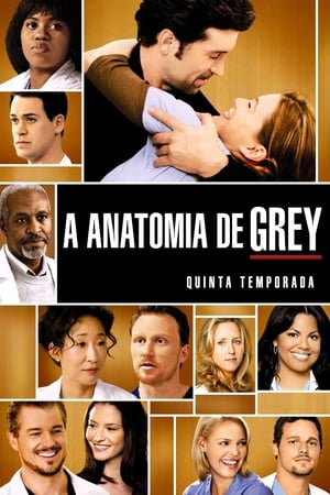 Anatomia de Grey: Temporada 5