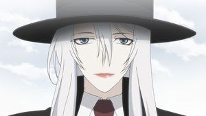 Silver-Coloured Shadow