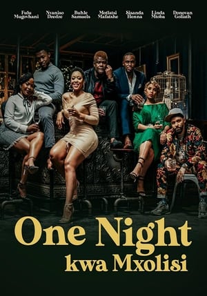 Poster One Night Kwa Mxolisi ()