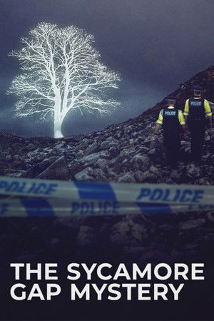The Sycamore Gap Mystery (2025)