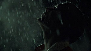 Hannibal (2014) Season 2X13 Watch Online Free | ඔන්ලයින් බලන්න