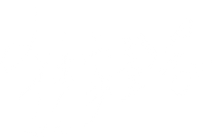 Ảnh 41