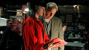 Agenci NCIS: s8 e3 PL