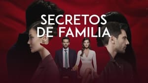 poster Family Secrets
