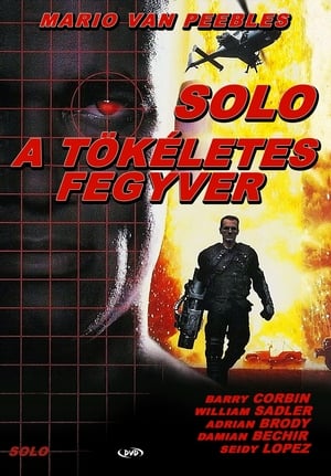 Poster Solo - A tökéletes fegyver 1996