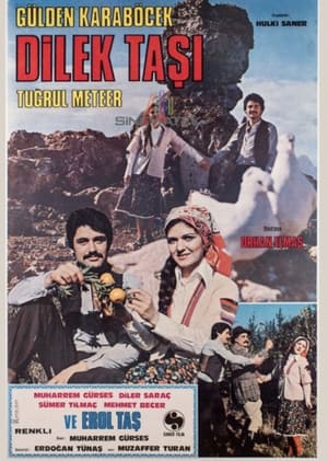 Poster Dilek Taşı (1978)