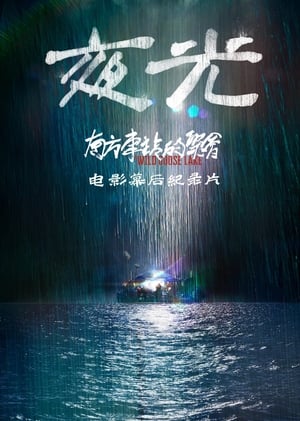 Poster Night Light: Making of The Wild Goose Lake (2019)