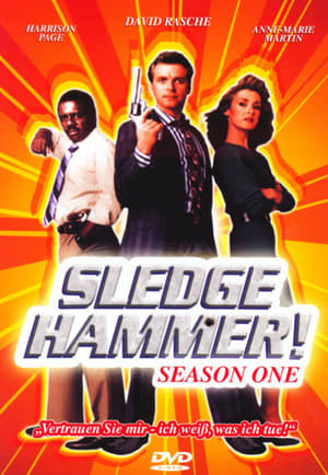 Sledge Hammer!: Staffel 1