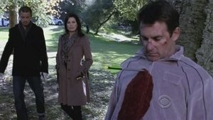 CSI: NY: Stagione 8 x Episodio 13