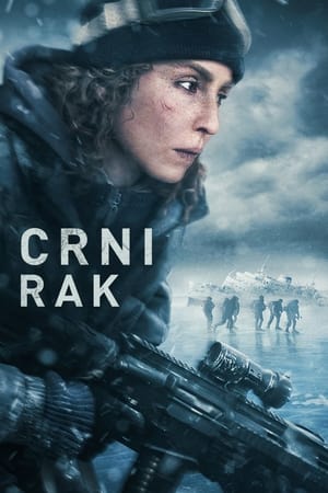 Crni rak