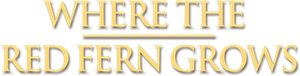 Donde crecen los sueños