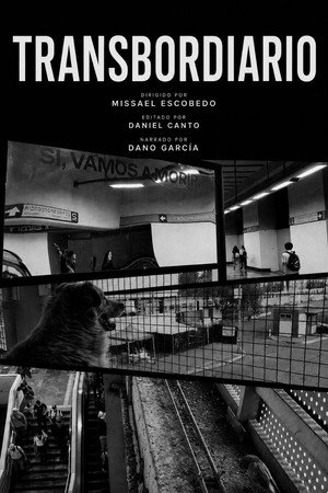 Transbordiario