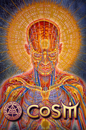 Alex Grey & The Chapel of Sacred Mirrors COSM The Movie poster