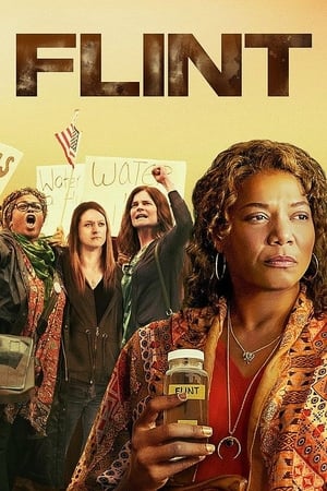 Poster Flint (2017)