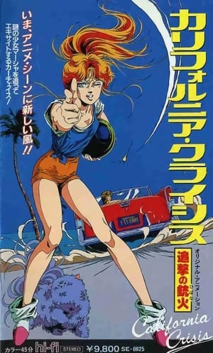 Poster カリフォルニア・クライシス 追撃の銃火（ひばな） 1986