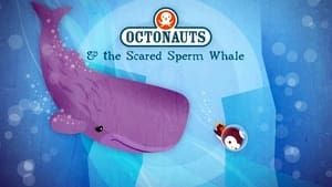 Image The Scared Sperm Whale
