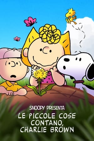 Poster di Snoopy presenta: le piccole cose contano, Charlie Brown
