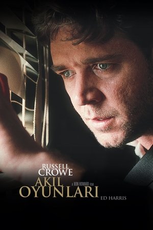 Poster Akıl Oyunları 2001