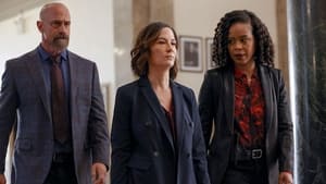 Law & Order: Organized Crime: 2×8