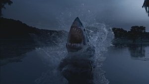 ดูหนัง Shark Night 3D (2011) ฉลามดุ