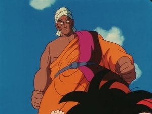 Dragon Ball Season 1 Episode 25