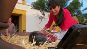 Episodio 1