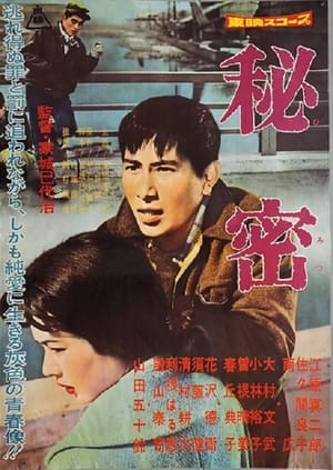 Poster 秘密 1960