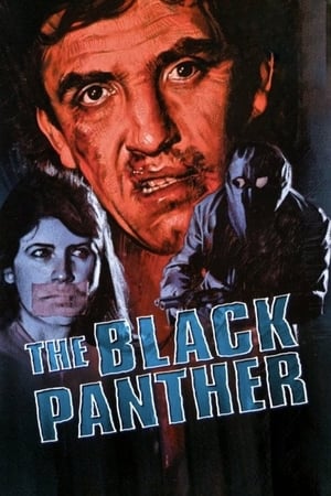 Poster Чорна Пантера 1977