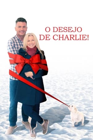 Poster Charlie's Christmas Wish 2020