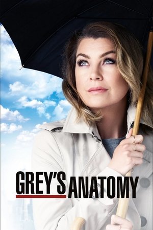 poster Grey's Anatomy