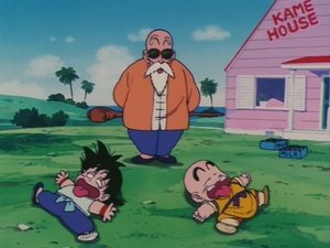 Dragon Ball: 1×17