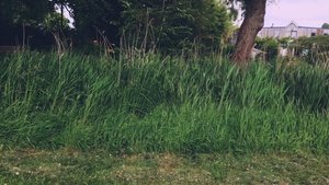 een kleine film over toxic comic nerds