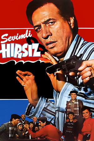 Sevimli Hırsız 13