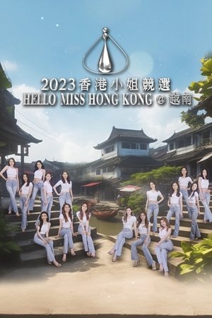 2023香港小姐競選 Hello Miss Hong Kong@越南