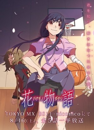 物语系列全 - Season 9