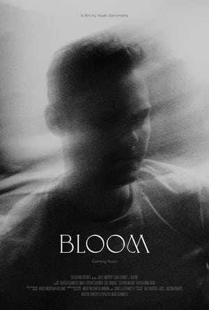 Bloom film complet