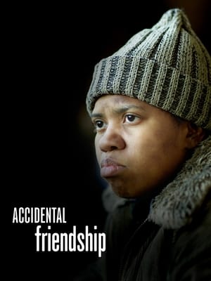Poster Una amistad accidental 2008