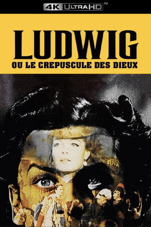 Ludwig 35