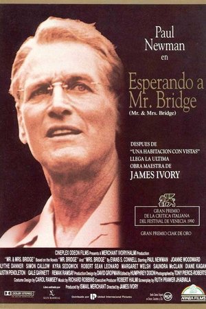Image Esperando a Mr. Bridge