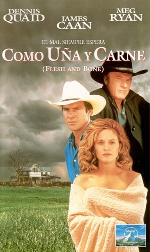 Poster Como uña y carne 1993