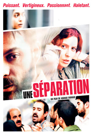 Poster Une séparation 2011