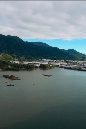 Pulsante: Um filme sobre a Baía do Araçá